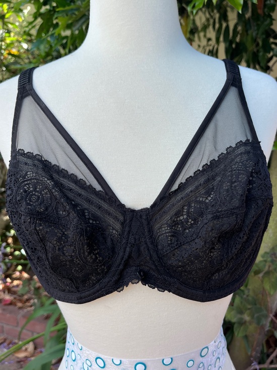 Maison Lejaby Other - Maison LeJaby 36C Black Lace Underwire Bra with Sheer Mesh Accents